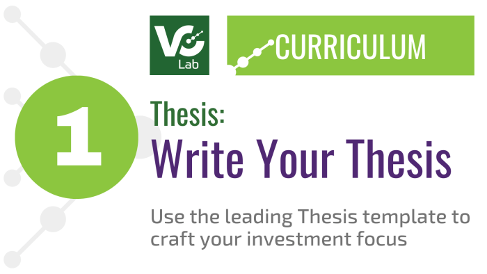 Investment Thesis for Venture Capital
