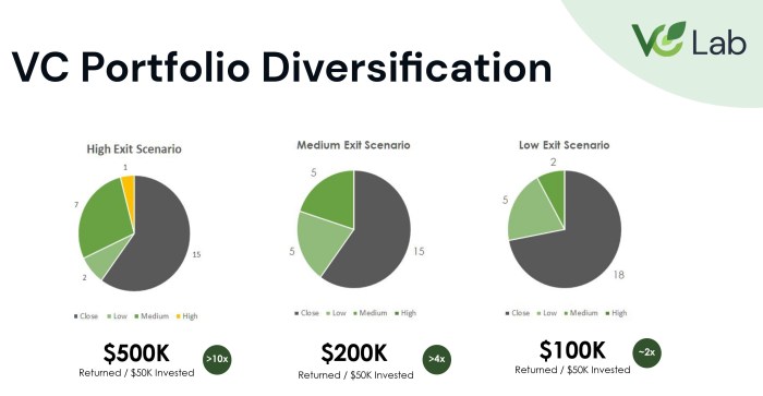 VC diversification for Angels
