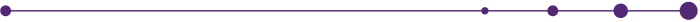 Decile Network Purple Divider5