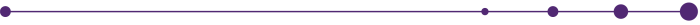 Decile Network Purple Divider3
