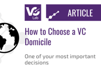 how to choose a VC domicile