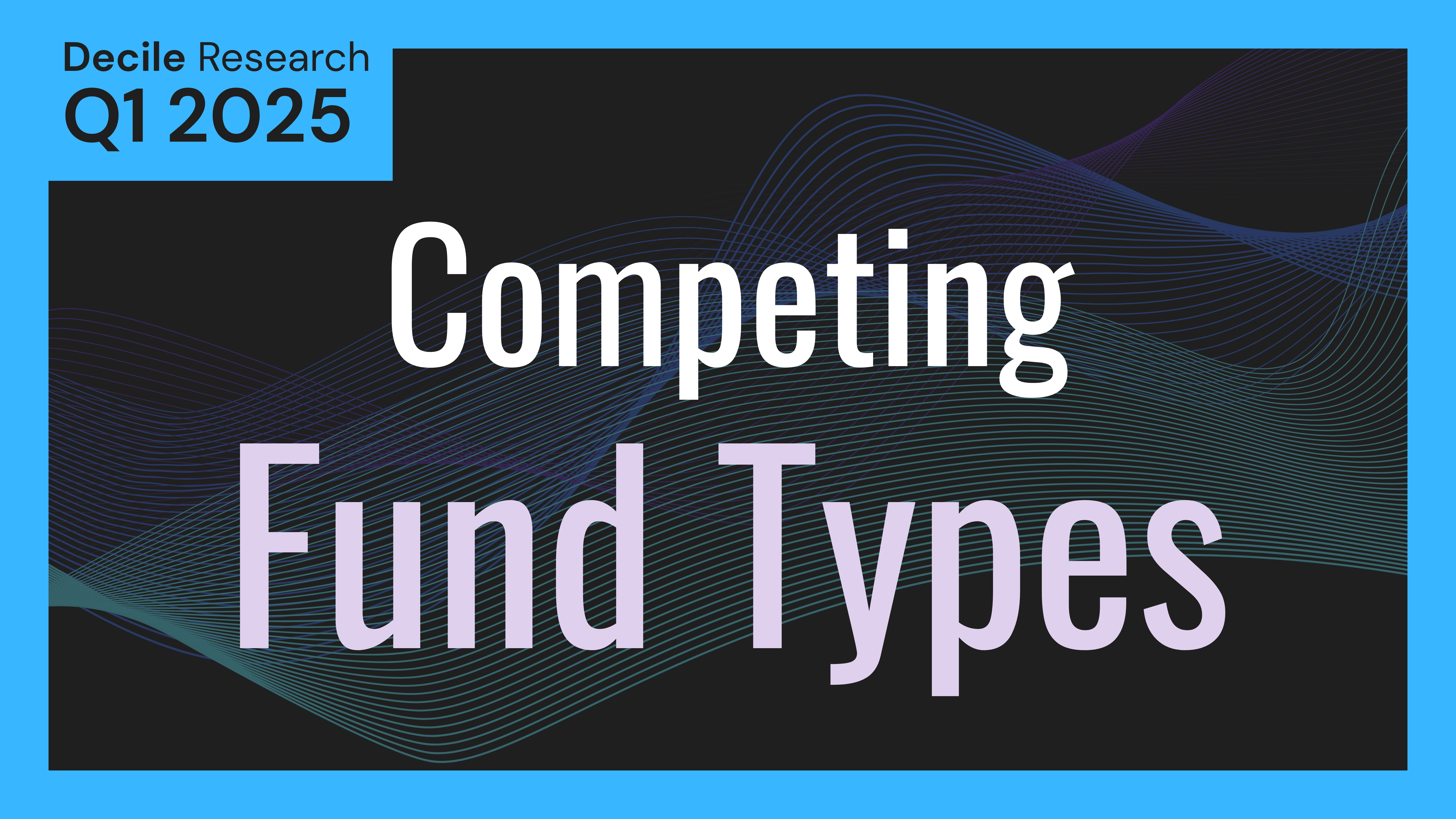 Competing Fund Types in Emerging VC